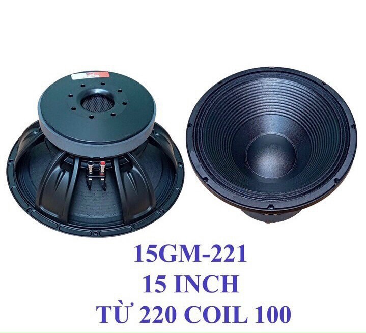 Bass 15GM-221 Từ 220 Coil 100 loại 1 china